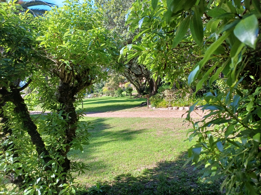 Commercial Property for Sale in Sedgefield Rural Western Cape